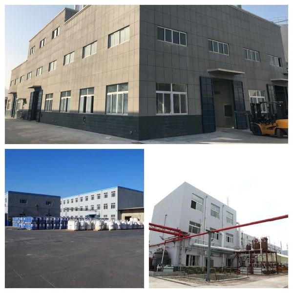 Trung Quốc Shandong Jiuchong Chemical Co., Ltd. hồ sơ công ty
