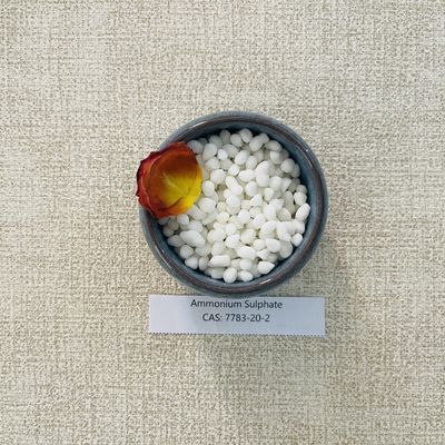 500g Muối amoni sunfat hóa chất NH4 2SO4 miễn phí dùng cho phân bón, cấp Caproactam, chứng nhận ISO