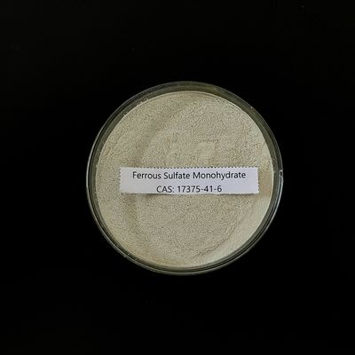 Ferrous Sulfate Monohydrate 91% Bột xám nhạt FeSO4 H2O