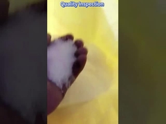 Ammonium sulphate N 21% tinh thể